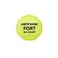 Tarro de Pelotas de Tenis Dunlop Fort All Court X3