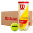 Caja de Pelotas de Tenis Wilson Championship X3 - 24 Tarros