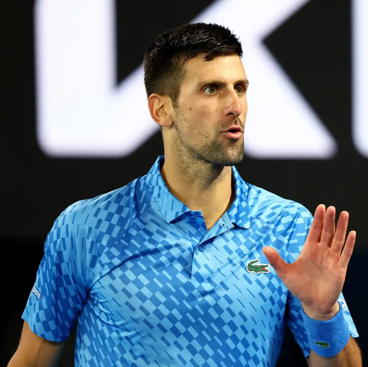 Polera Lacoste Polo Novak Djokovic Azul