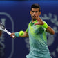 Polera Lacoste Polo Novak Djokovic Verde